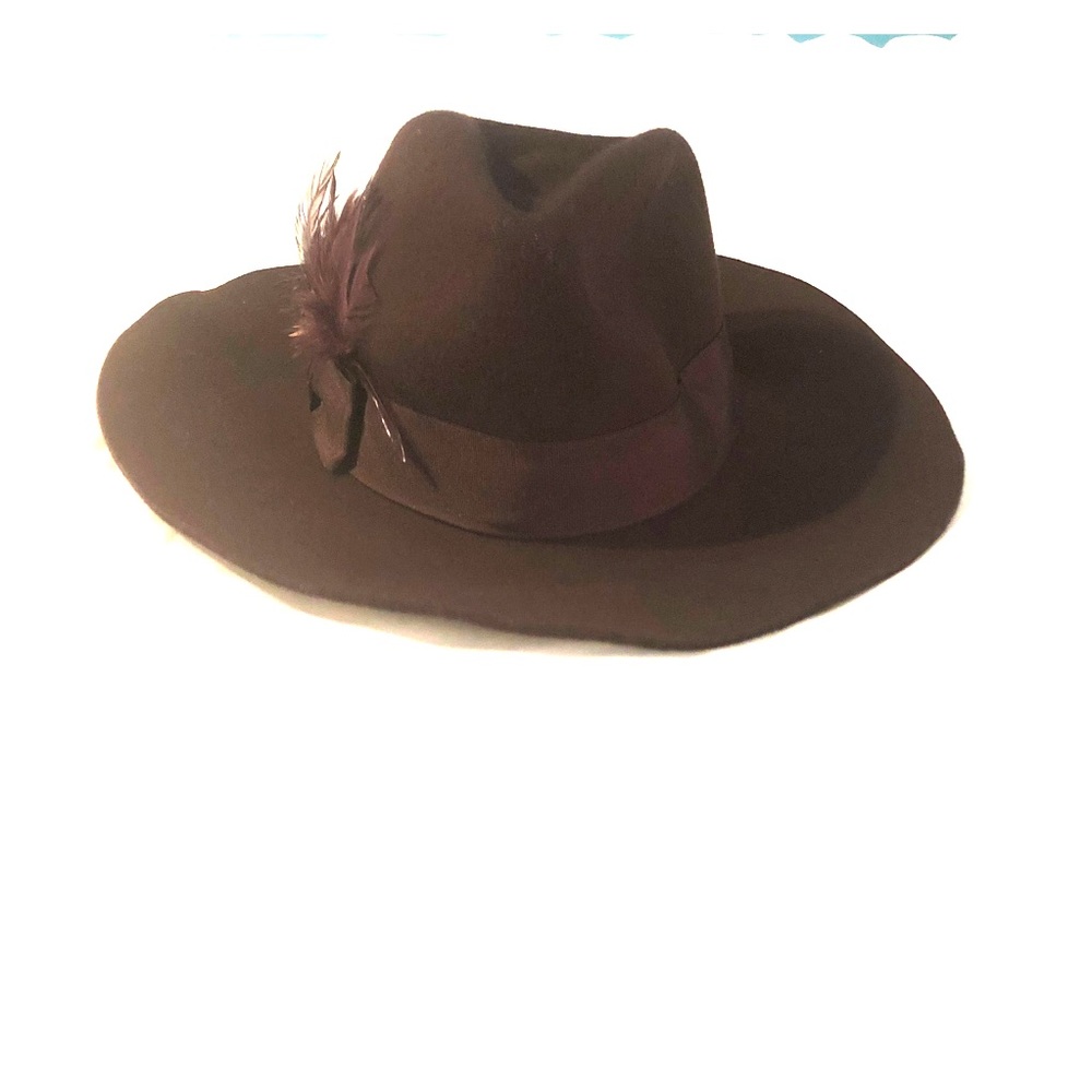 Trendy brown hat with feather